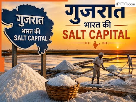 नमक का बादशाह कहलाता है ये राज्य, बिना इसके फीका पड़ जाएगा भारत का स्वाद