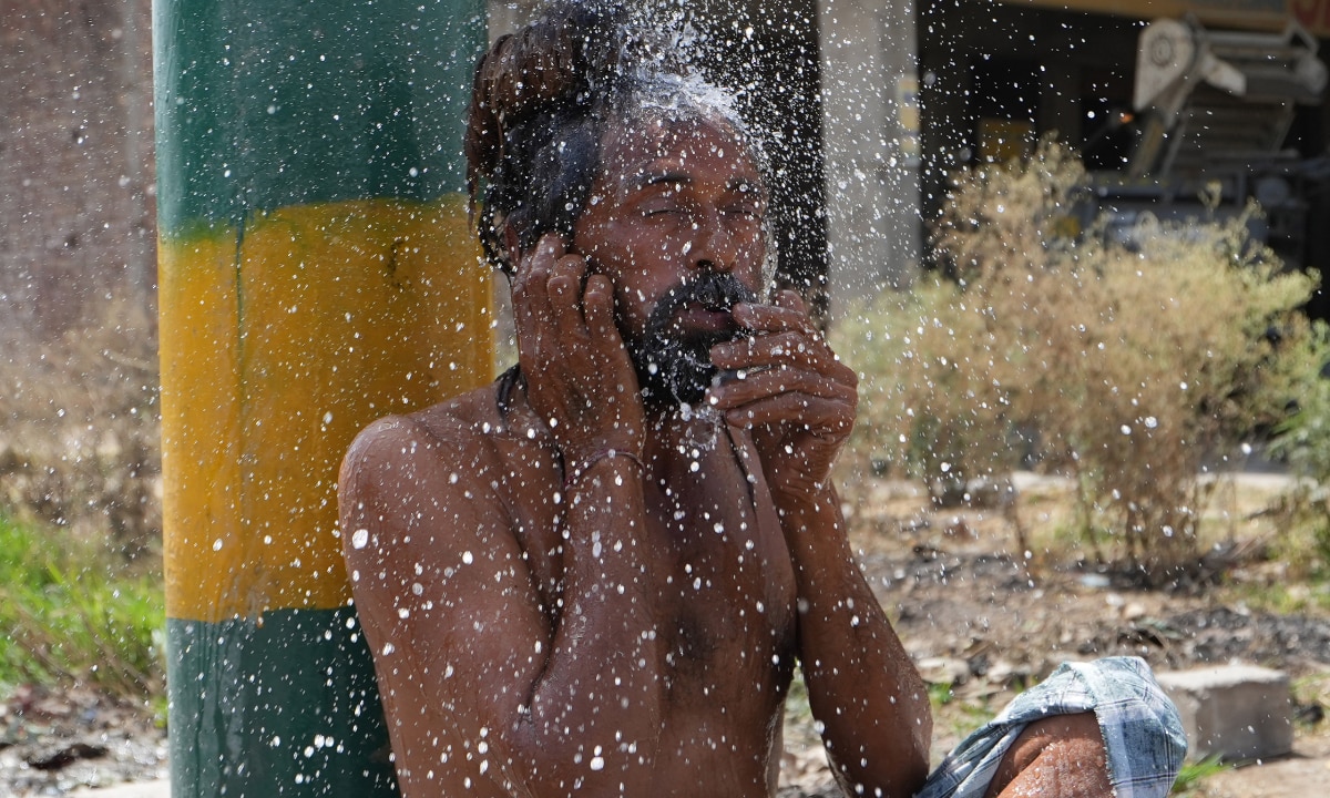 Rajasthan suffers deadly heatwave as Sri Ganganagar records highest temperature at 48.2 C | All details
