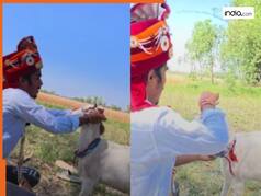 Viral Video: शादी में अड़चन पैदा करने लगे अपने ही लोग, तभी गुस्से में बकरी से शादी कर आया दूल्हा | देखिए वीडियो
