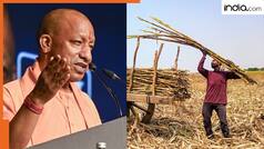 उत्तर प्रदेश में गन्ना किसानों की बल्ले-बल्ले, योगी सरकार ने किया 3.22 लाख करोड़ रुपये से अधिक का भुगतान, दरों में 30 रुपये प्रति कुंतल की वृद्धि भी की