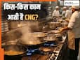 CNG से सिर्फ गाड़ियां नहीं चलतीं! कभी नहीं सुने होंगे इसके ये सीक्रेट इस्तेमाल- जानकर आप भी रह जाएंगे हैरान