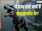 क्यों बडे-बड़े T. Rex डायनासोर के होते थे छोटे हाथ? वैज्ञानिकों ने सुलझा ली 7 करोड़ साल पुरानी मिस्ट्री?