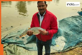 india.com top news