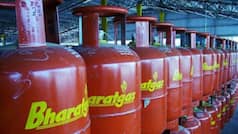 No DAC, no delivery? Bharat Gas introduces major change for commercial cylinders | Check important details