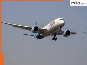 india.com top news