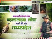 टाइगर स्टेट से वाइल्डलाइफ लीडर बनने की ओर मध्य प्रदेश... जानें CM मोहन यादव की अगुवाई में राज्य कैसे हासिल कर रहा ये मुकाम