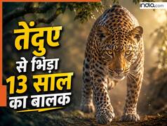 तेंदुए की गर्दन दबोच काबू में करने लगा 13 साल का बालक, देख बचाने गए गांव वाले के भी थरथराने लगे पांव