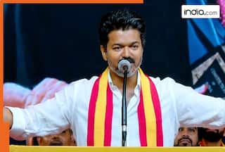 Tamil Nadu Government Formation: TN Lok Bhavan says Governor told Vijay TVK does not have majority to form govt