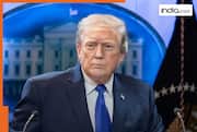 'Beginning of the end of deadly war': Trump announces 3-day ceasefire between Ukraine-Russia, prison swap included
