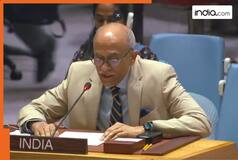 'Long-tainted record of genocidal acts': India slams Pakistan at UNSC over terrorism