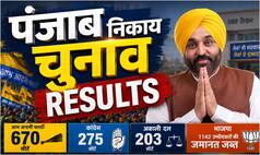 Punjab Nikay Chunav Results: AAP की आंधी, BJP-कांग्रेस-अकाली चारों खाने चित- जानें किसे मिल रही कितनी सीटें