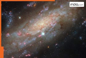 india.com top news