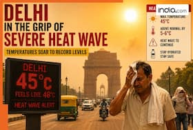 india.com top news
