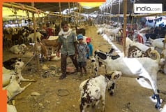 Eid-ul-Azha: Central govt offices in Delhi to remain closed on May 28 instead of May 27