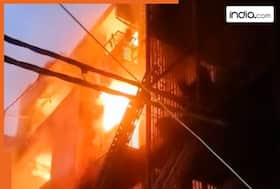 india.com top news