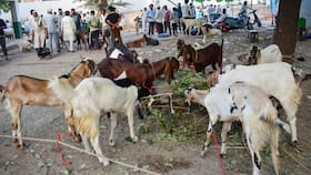 india.com top news