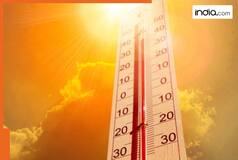Chityala in Andhra Pradesh boils at 48.3 degrees Celsius, records season's highest temperature