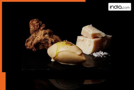 One scoop costs more than Rs 5 lakh; this is the world's most expensive ice cream