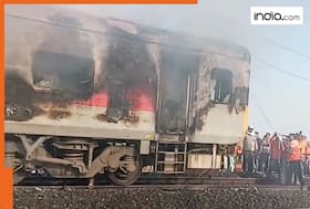 india.com top news