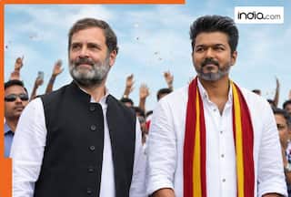 Tamil Nadu Assembly Election 2026: Rahul Gandhi to dump Stalin? Congress to support Vijay's TVK with 'no communal forces in alliance' condition
