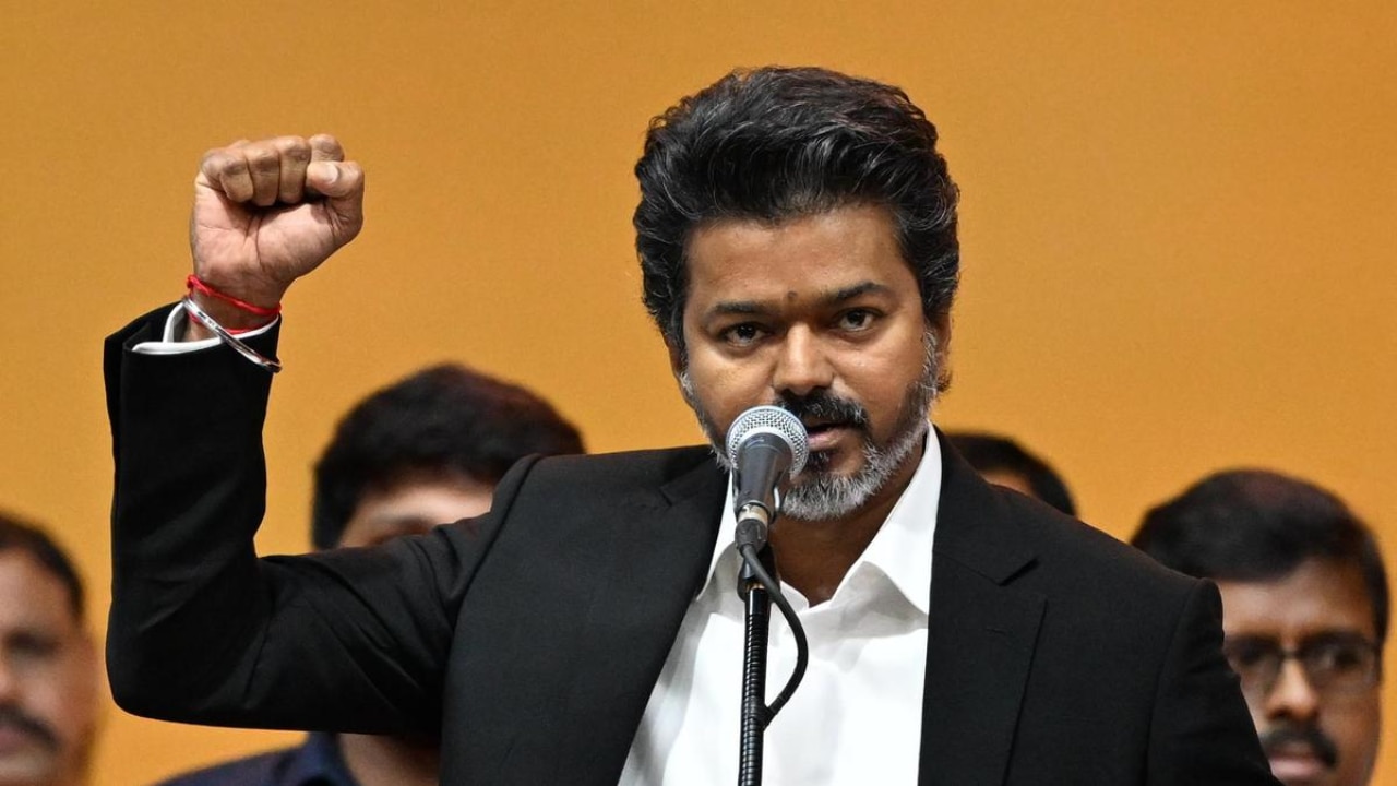 Tamil Nadu CM Vijay’s photo moment with flight attendant goes viral, fans call her lookalike of...