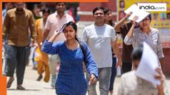 UPSC CSE Prelims Answer Key 2026: How to check Civil Services preliminary key at upsc.gov.in when declared? Step-by-step guide