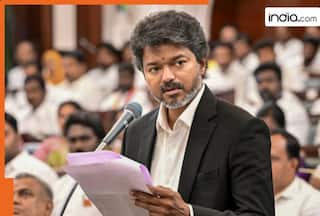 'No banners, posters in public places': Tamil Nadu CM Vijay's TVK makes strict announcement as party forms government