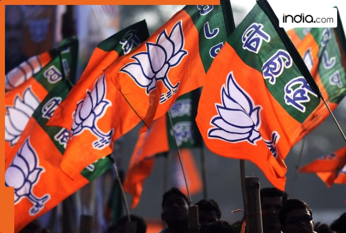 BJP Winners List Highlights: Saffron wave in Bengal - Check full list of winners, losers here