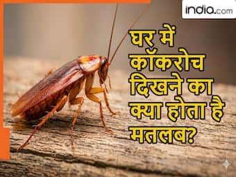 india.com top news