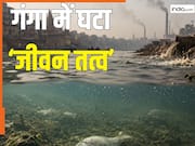 गंगा पर महासंकट, नदी में 20 गुना तेजी से कम हो रहा 'जीवन तत्व', हाइपोक्सिया का खतरा, दुनिया की 21000 नदियों पर शोध के बाद वैज्ञानिकों की बड़ी चेतावनी