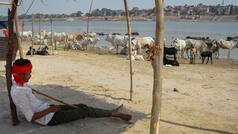 May 28 IMD Weather Forecast: Severe heatwave conditions to continue in Delhi, Punjab, Haryana