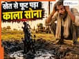 पानी के लिए खोदा कुआं निकल आया कच्चे तेल का खजाना! मालामाल हो जाएगा ये देश