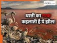 इस झील का पानी छूते ही पत्थर की मूर्तियां बन जाते हैं जानवर! हिलाकर रख देगा रहस्य