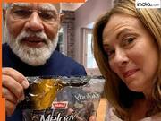 इटली में जॉर्जिया मेलोनी को मोदी की गिफ्ट की 'मेलोडी' तो देख ली... जानिए वहां से हमारे प्रधानमंत्री को क्या तोहफा मिला ?