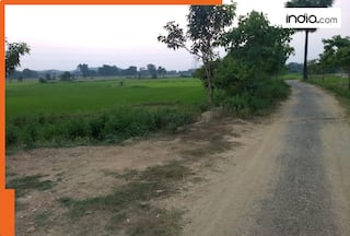 IAS, IPS officers invested in land before bypass clearance, prices jumped 11 times: Report