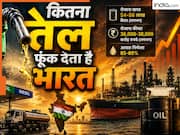 हर दिन कितना तेल खपा देता है भारत? इसकी कितनी होगी कीमत? आंकड़े जानकर उड़ जाएंगे होश