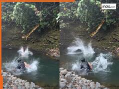 Azgar Ka Video: लड़के को लपकने के लिए झाड़ियों से निकला अजगर, रफ्तार देखकर ही कांपने लगा बेचारा | देखें वीडियो