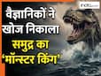 समुद्र में खुलेआम घूमता था ये खूंखार शिकारी, इसके आगे शार्क भी लगती थी छोटी, नई खोज से वैज्ञानिक हैरान