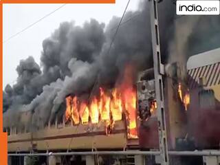 india.com top news