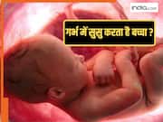 क्या मां के पेट में पेशाब करता है बच्चा? Pregnancy में अंदर क्या-क्या करता है Baby, जानें