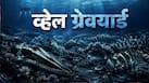 समंदर की गहराई में ये कब्रिस्तान किसका? 53 लाख साल पुराना कंकाल भी बरामद, हालत देख वैज्ञानिक भी रह गए हैरान