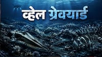 समंदर की गहराई में ये कब्रिस्तान किसका? 53 लाख साल पुराना कंकाल भी बरामद, हालत देख वैज्ञानिक भी रह गए हैरान
