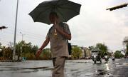 IMD weather alert Madhya Pradesh: Alert for residents as moderate to severe storms likely in multiple districts | All details