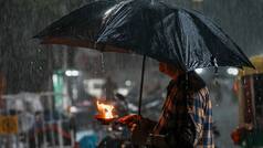 Delhi Rain Update, 13 June 2026: Noida, Ghaziabad, Faridabad, Gurugram, Greater Noida to witness rain today? IMD issues alert