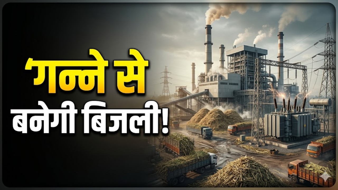 चीनी ही नहीं अब गन्ने से पैदा होगी बिजली, मार्केट में आई नई टेक्नोलॉजी, जानिए कैसे करती है काम