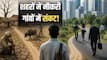 Explainer: आंकड़ों में सब ठीक दिख रहा, फिर गांवों में क्यों बढ़ रही नौकरी की टेंशन? 5.5% बेरोजगारी दर के पीछे छिपी है बड़ी चिंता