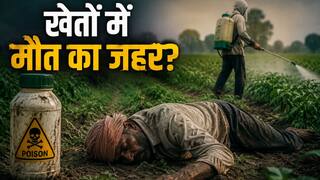 india.com top news