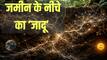 'आपके कदमों तले भी है एक पूरा ब्रह्मांड...' पाताल में मिला 'पृथ्वी का 45 करोड़ साल पुराना नेटवर्क