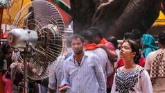 IMD weather forecast June 8: Heatwave alert in Delhi-NCR, Uttar Pradesh, heavy rains expected in THESE states | Check details