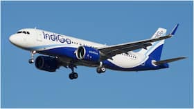 india.com top news